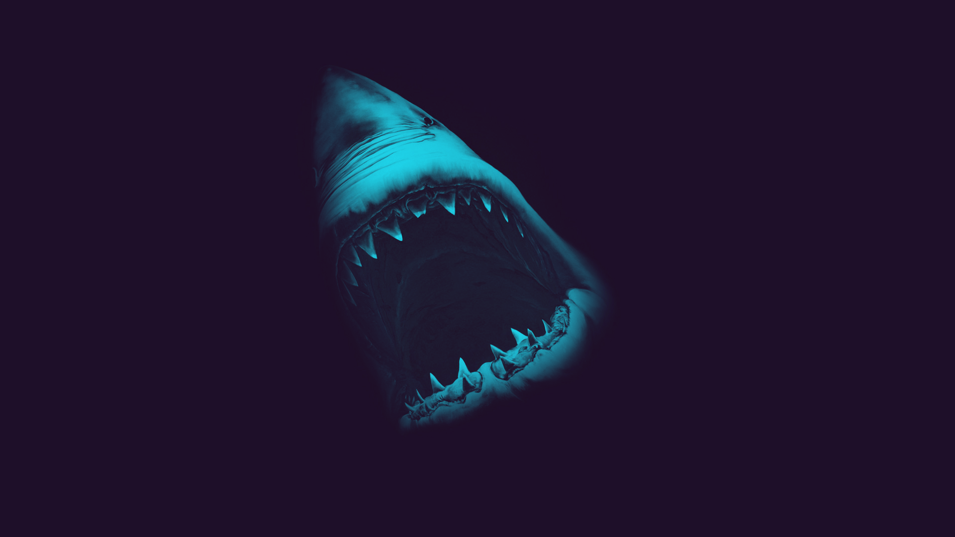 Icon for shark.distantserver.org